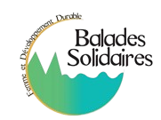 balades removebg preview